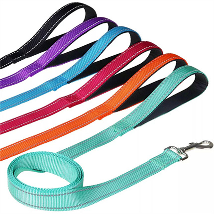 Pet leash