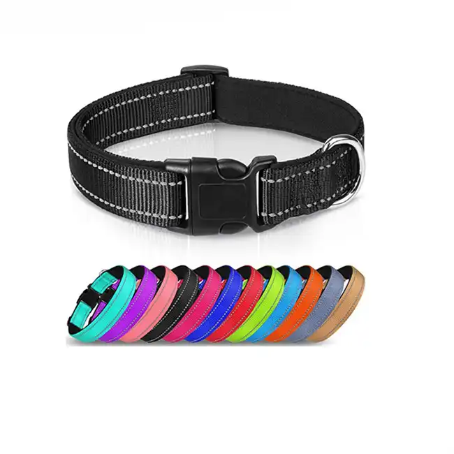 Pet Collar