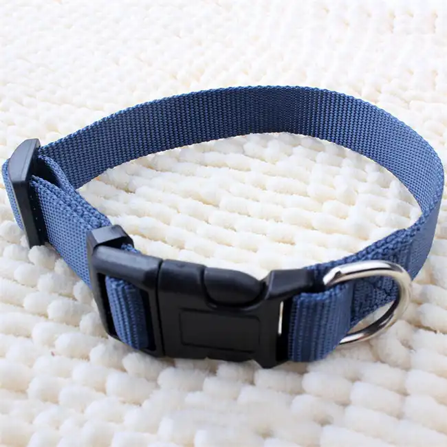 Pet Collar