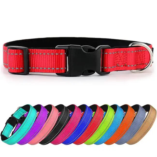 Pet Collar