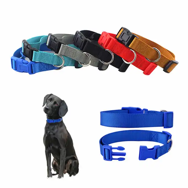 Pet Collar