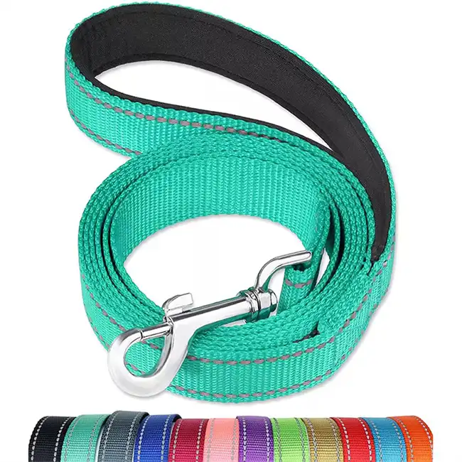 Pet leash